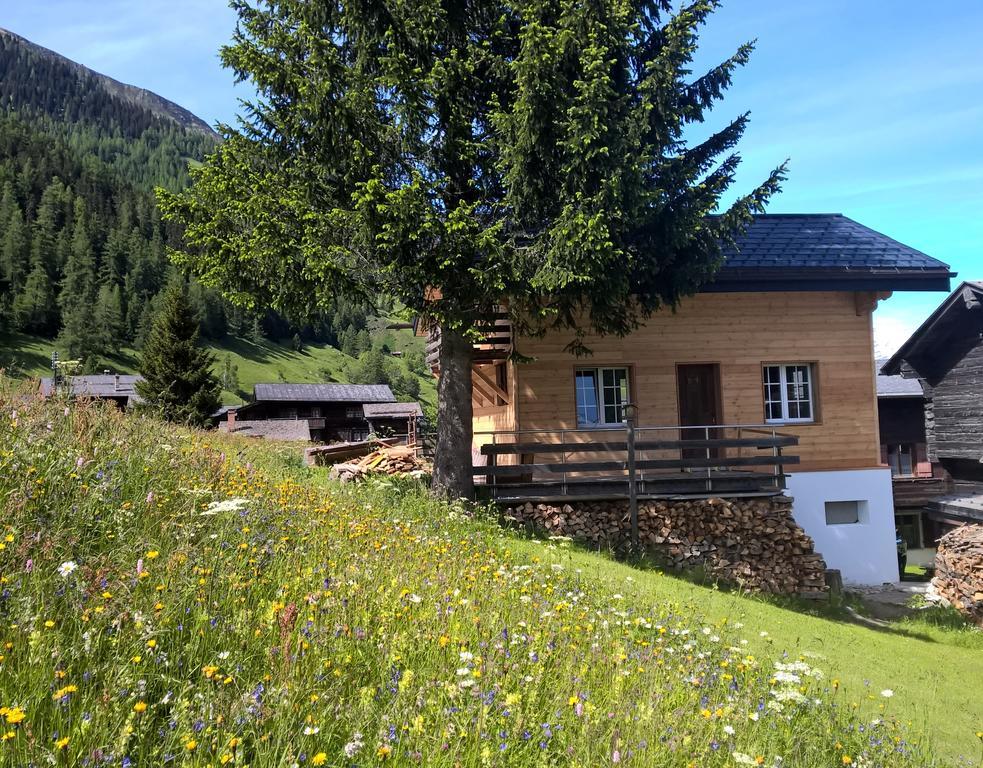 Chalet Daheim Reckingen Bagian luar foto