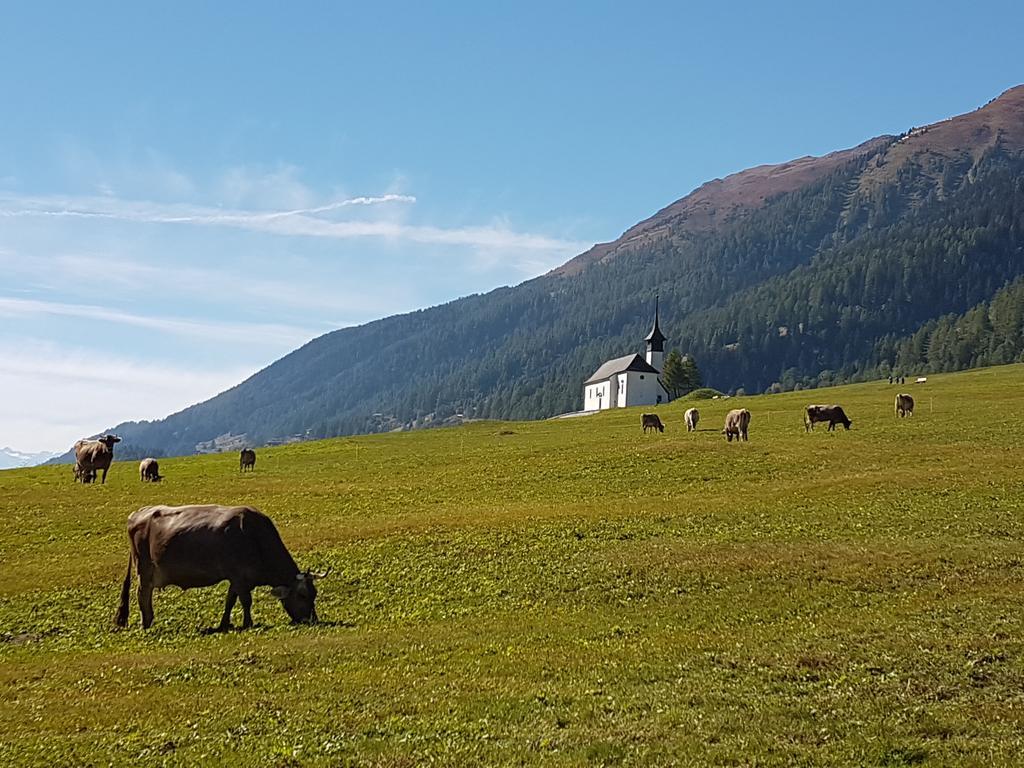 Chalet Daheim Reckingen Bagian luar foto
